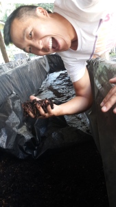 Jared with coffee compost and worms - feliz como un lumbriz!